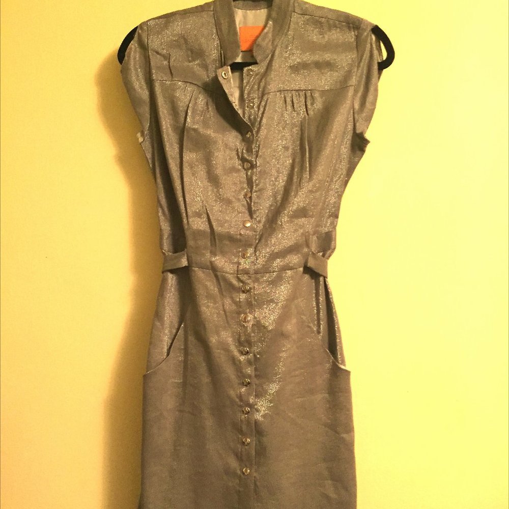 Olga Kapustina Silver,  size 6 lined dress